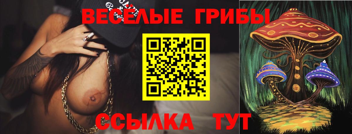 Псилоцибиновые грибы ЛСД  Галлюциногенные грибы MAGIC MUSHROOMS  Баксан  Вход с VPN 